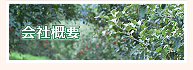 会社概要